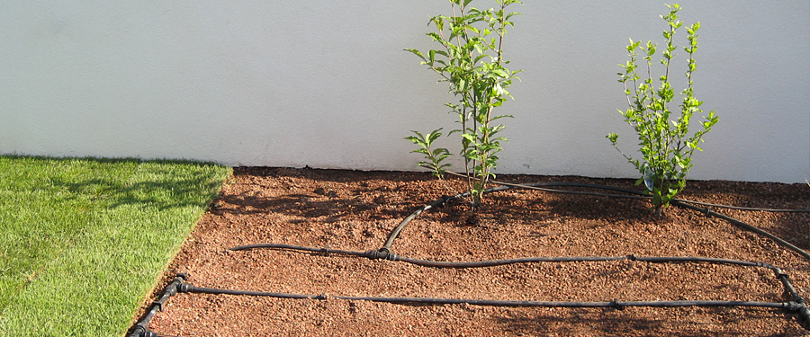 Rasen richtig bewässern - Mein schöner Garten